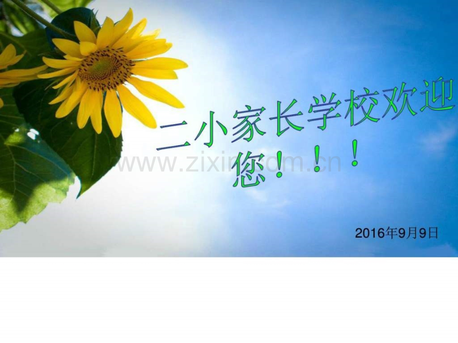 第二小学家长学校案例教学五年级上图文.pptx_第1页