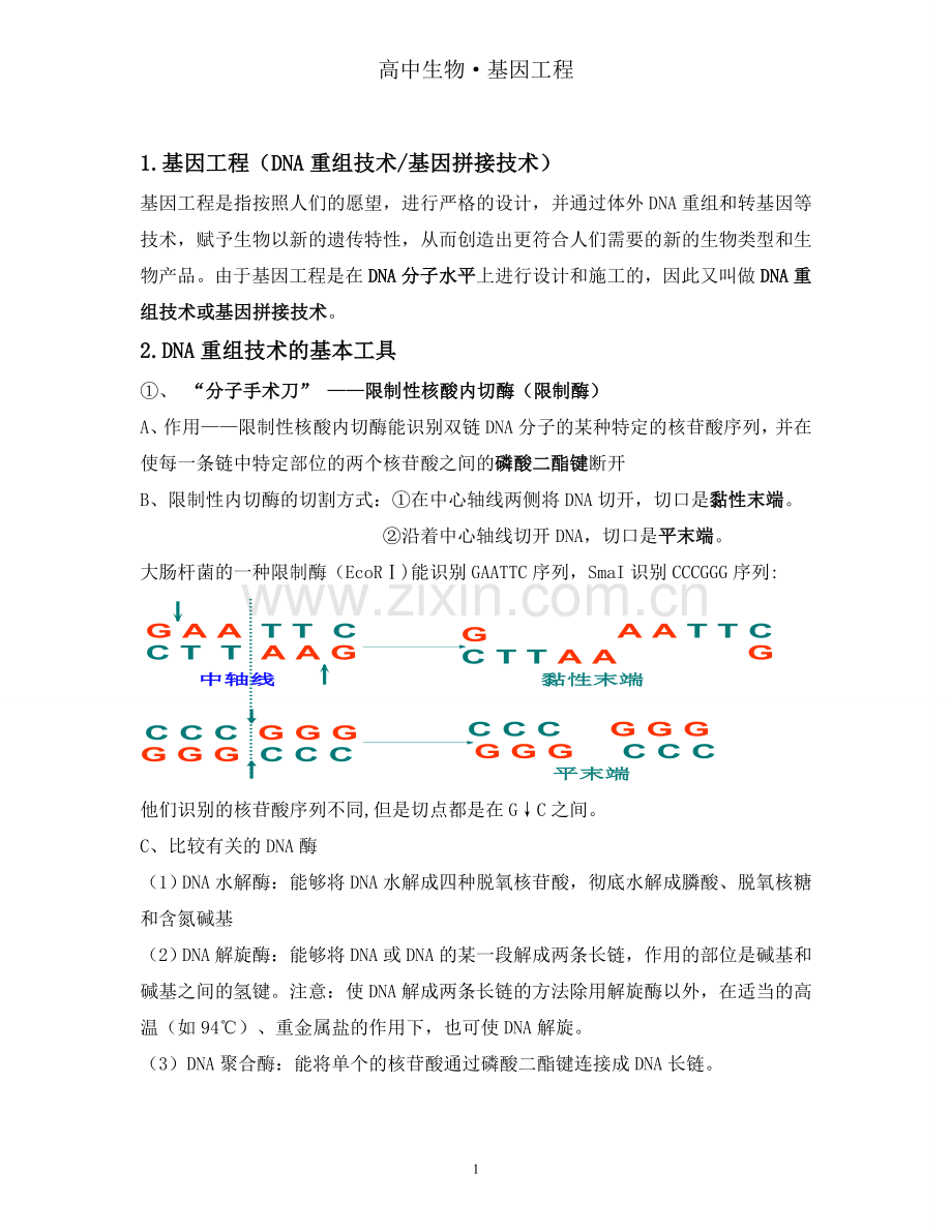 高中生物专题一基因工程详细知识点人教版选修3.doc_第1页