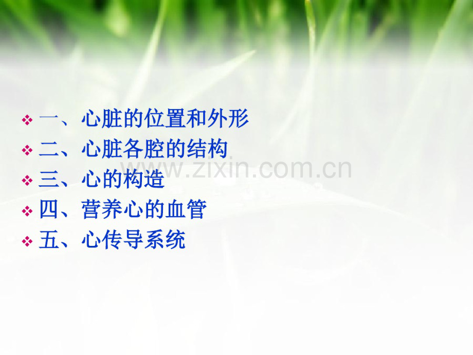 心脏电学.pdf_第2页