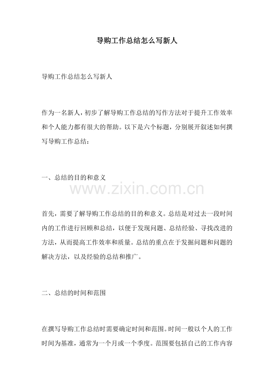 导购工作总结怎么写新人.docx_第1页