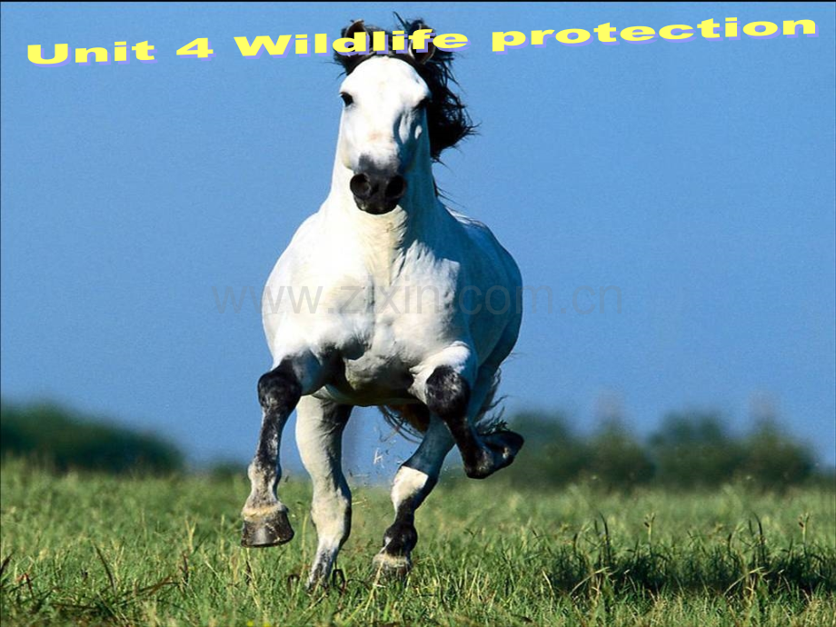 人教版英语必修二unit4Writing.ppt_第2页