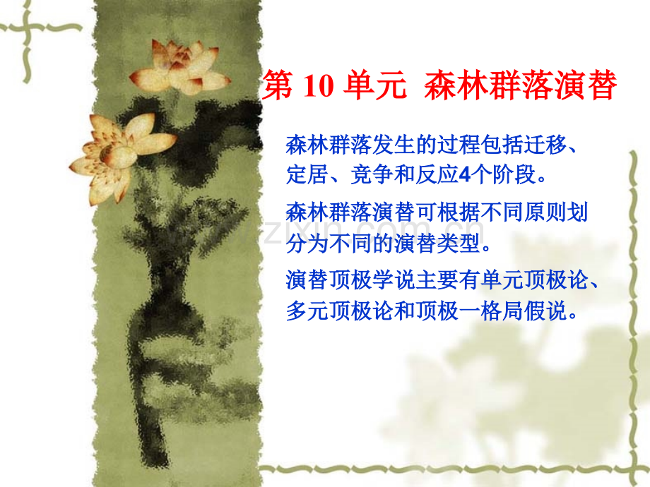森林群落发育及演替.ppt_第1页