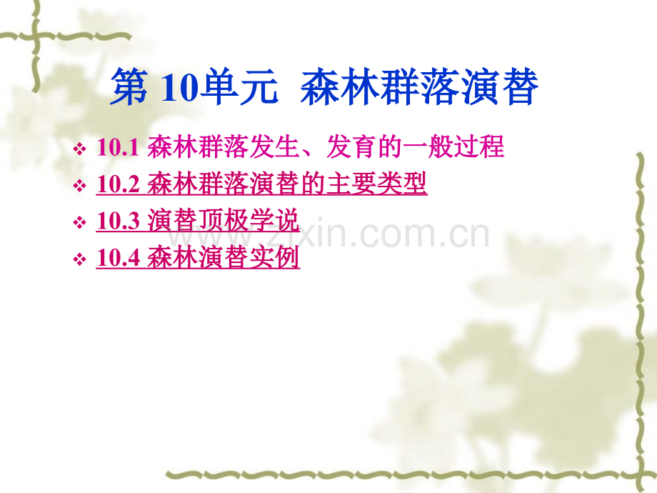 森林群落发育及演替.ppt_第2页
