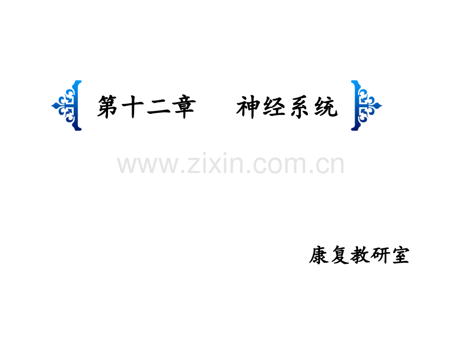 神经系统解剖.ppt_第1页