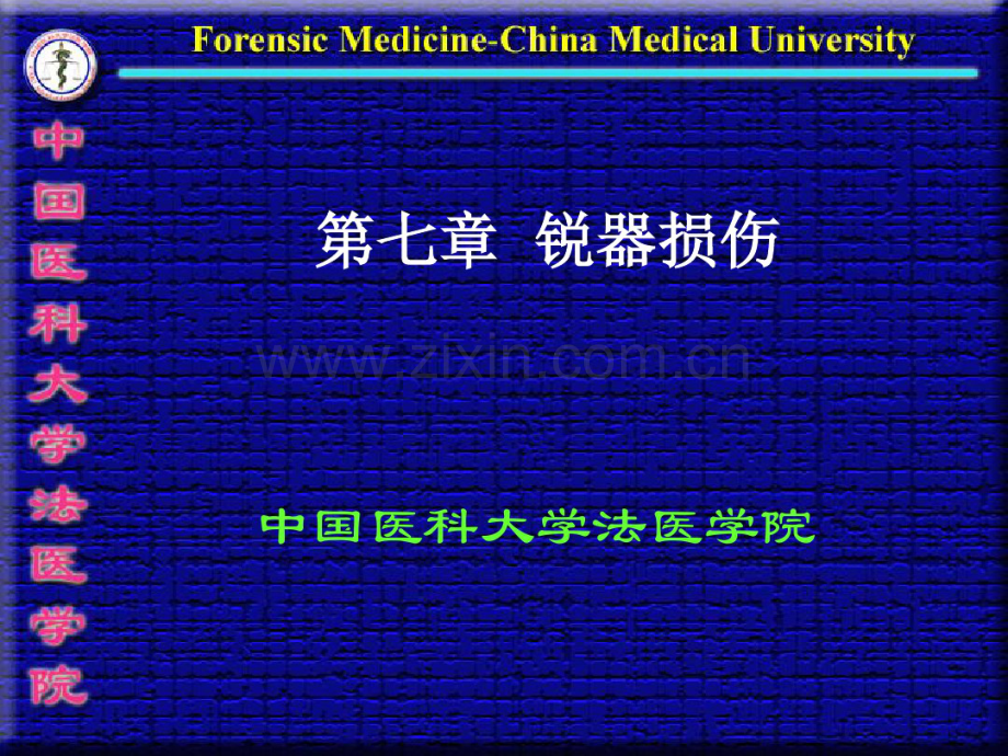 锐器损伤-中国医科大学法医学院.pdf_第1页