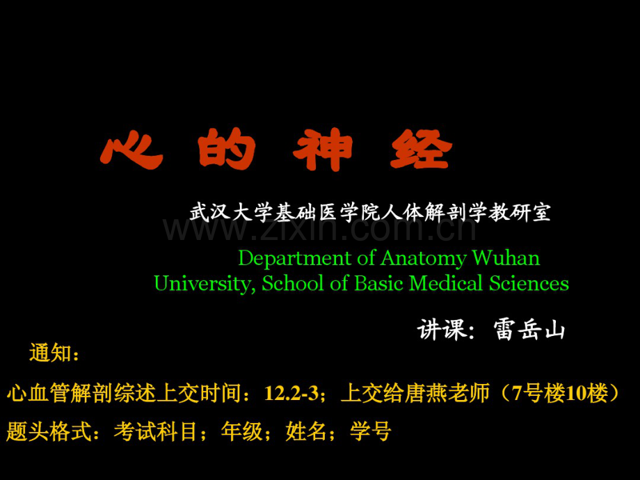 心的神经.pdf_第1页