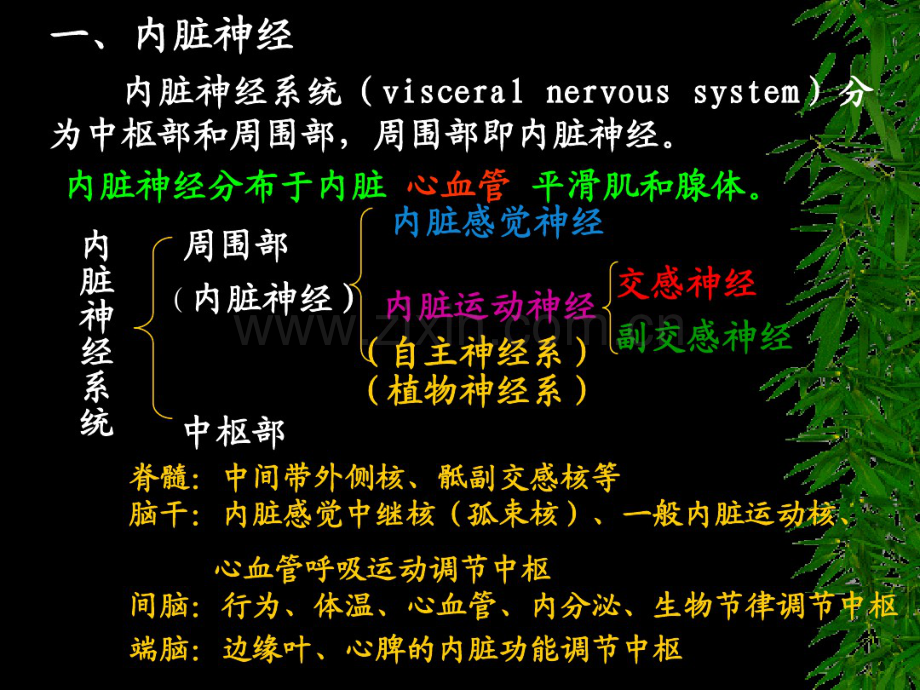 心的神经.pdf_第2页
