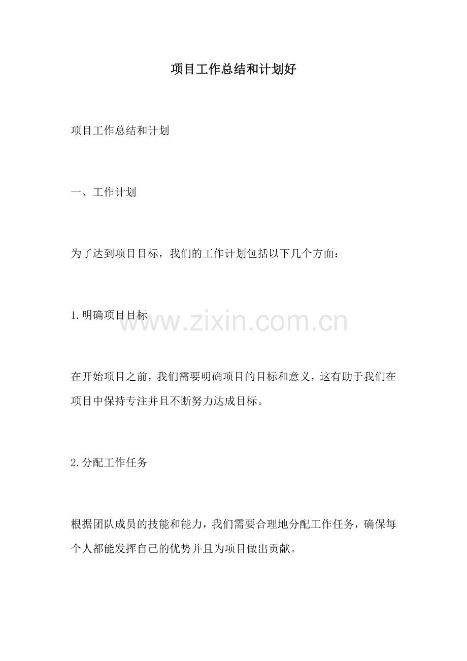 项目工作总结和计划好.docx_第1页