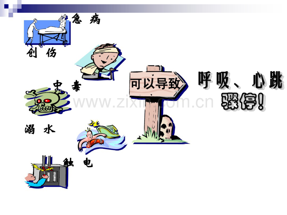 现代心肺复苏.pdf_第2页