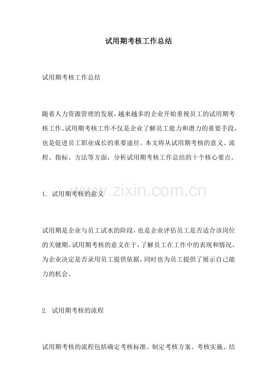 试用期考核工作总结.docx_第1页