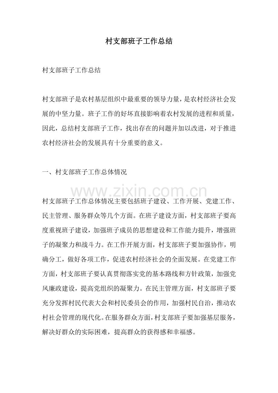 村支部班子工作总结.pdf_第1页
