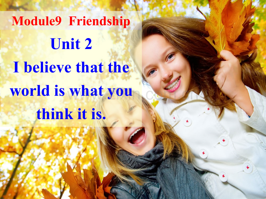IbelievethattheworldiswhatyouthinkitisFriendship3.pptx_第1页
