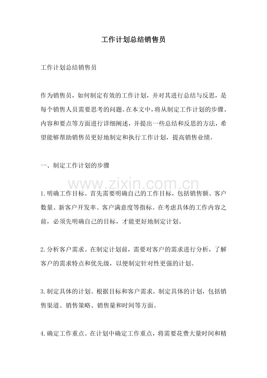 工作计划总结销售员.docx_第1页