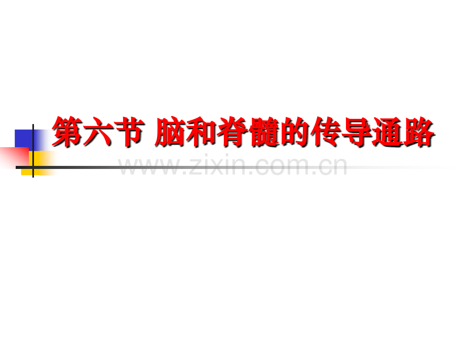 第六节-脑和脊髓的传导通路.ppt_第1页