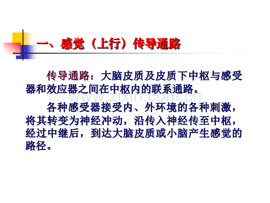 第六节-脑和脊髓的传导通路.ppt_第2页