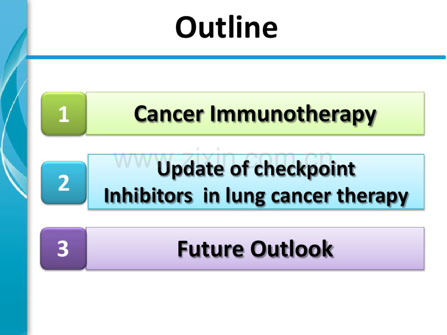 肺癌免疫治疗进展.pdf_第2页