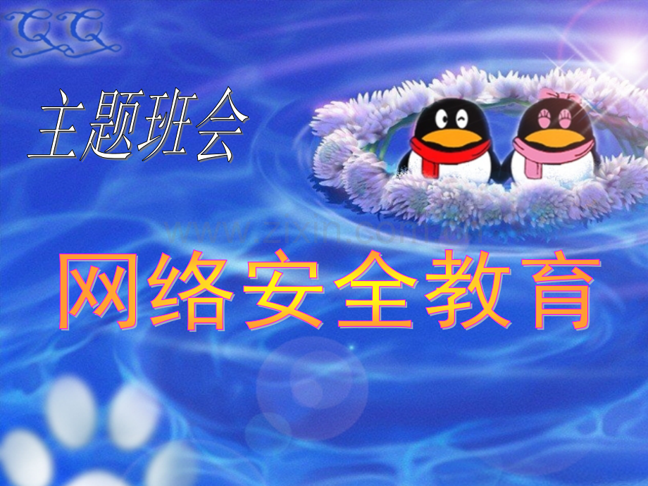 小学生网络安全教育.pptx_第1页