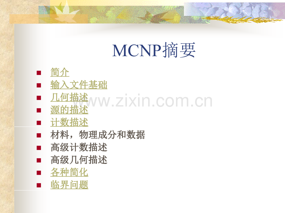 MCNP使用说明版.pptx_第2页