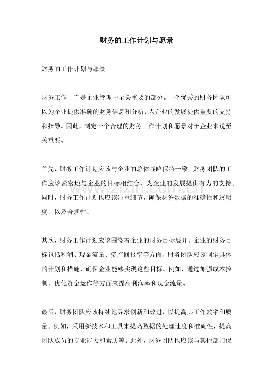 财务的工作计划与愿景.docx_第1页