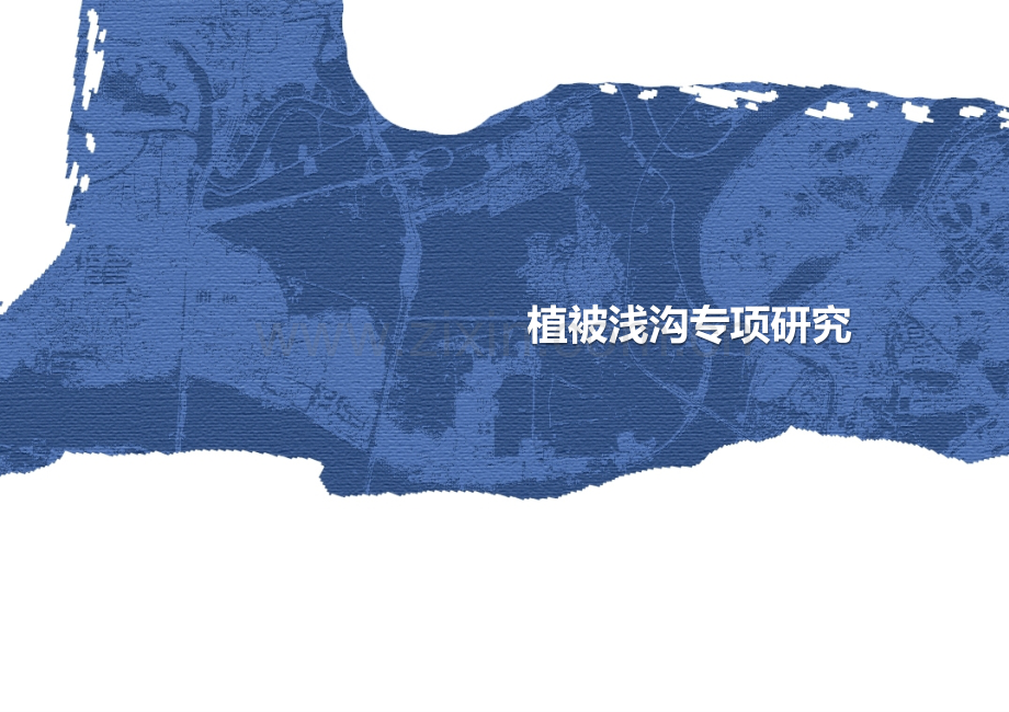 植物浅沟专题.ppt_第1页
