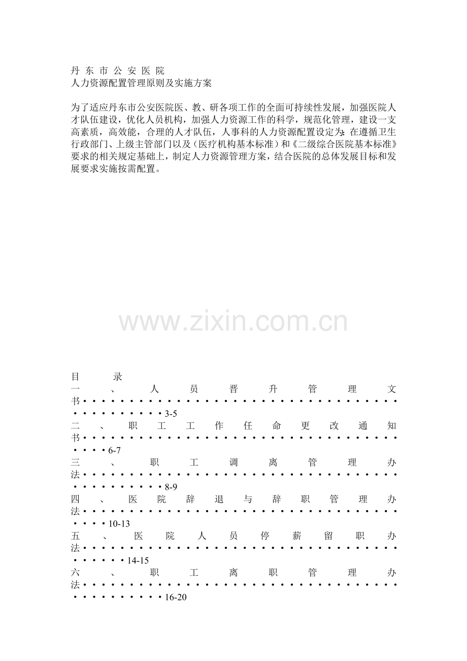 人力资源实施方案配置原则文字.doc_第1页