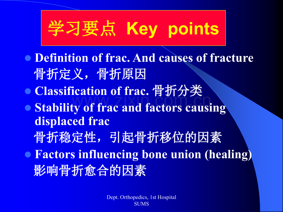 中文骨折概论.pptx_第2页