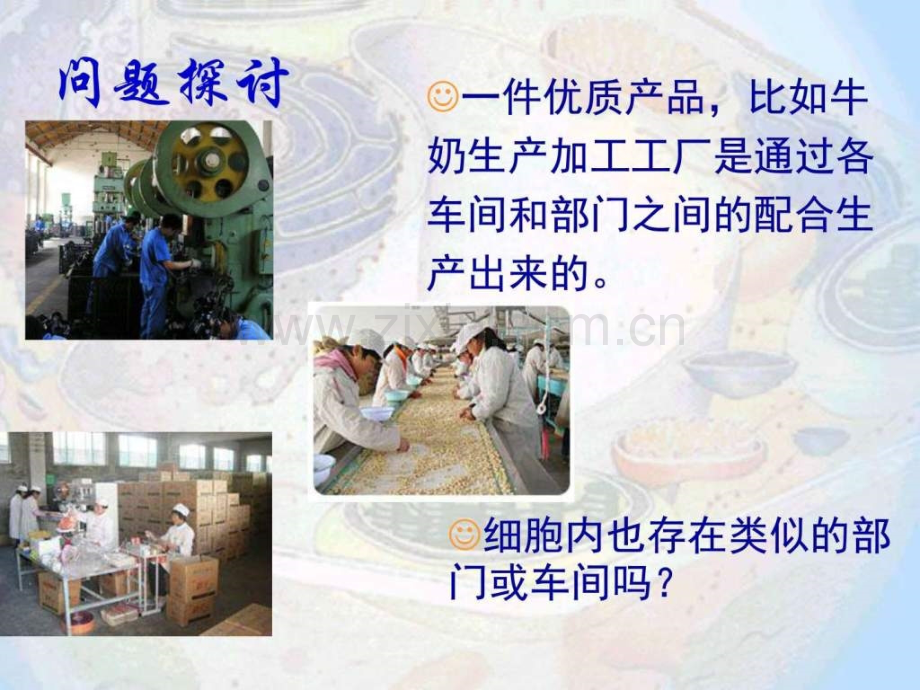 细胞器—系统内的分工合作新人教版必修.pptx_第1页