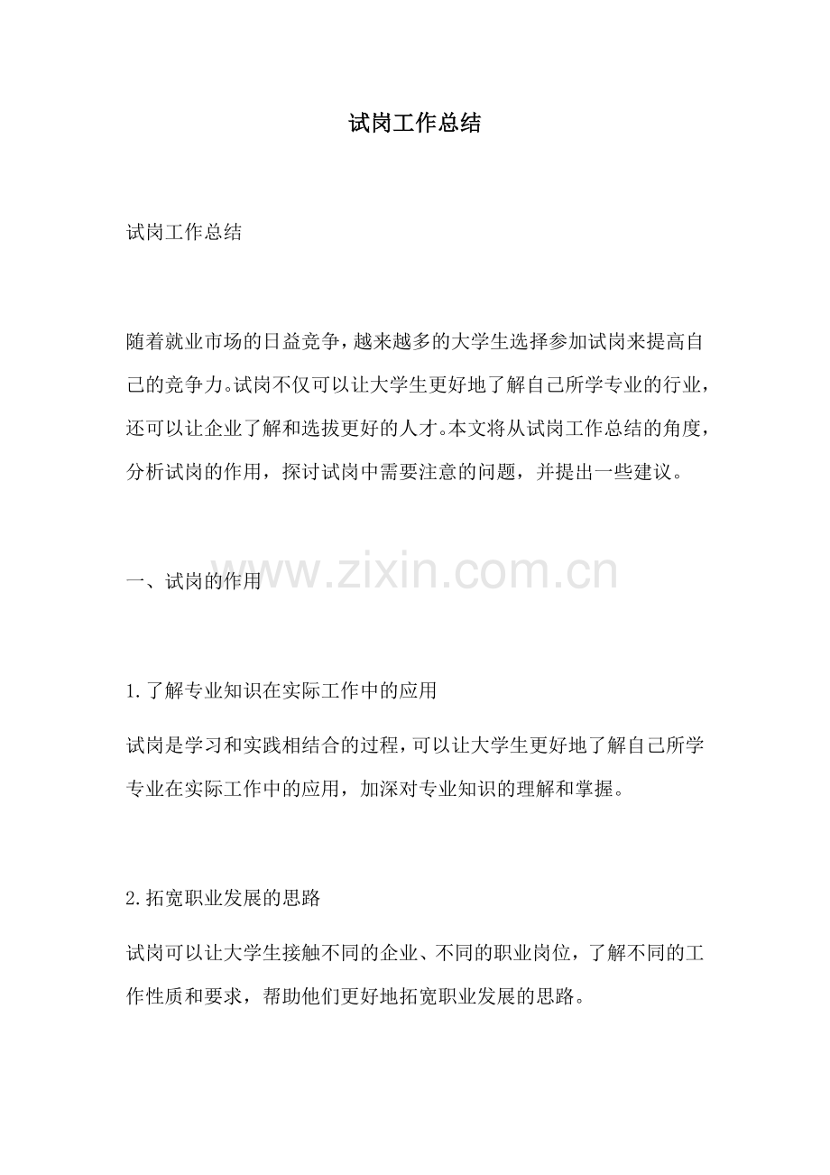 试岗工作总结.docx_第1页