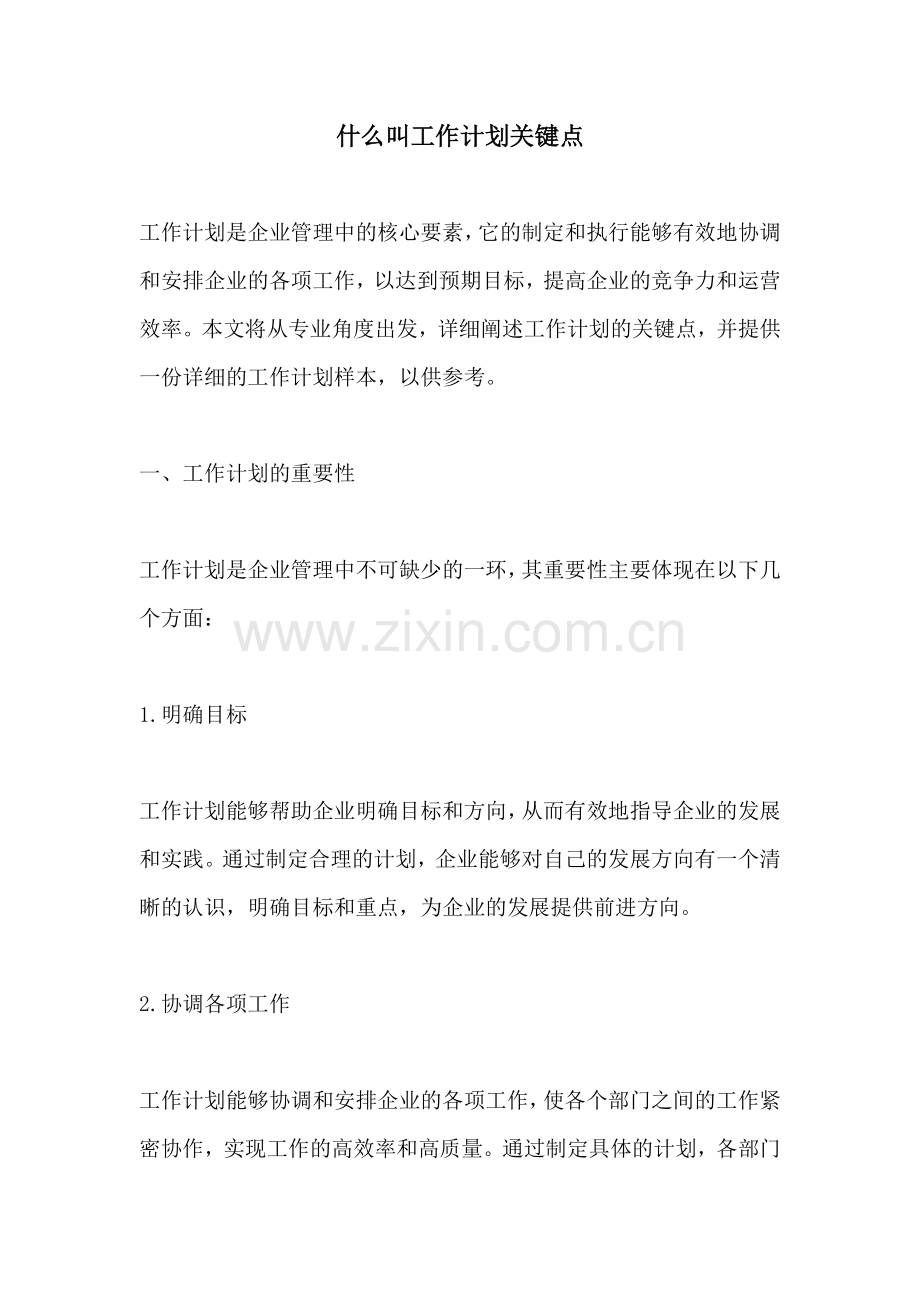 什么叫工作计划关键点.docx_第1页