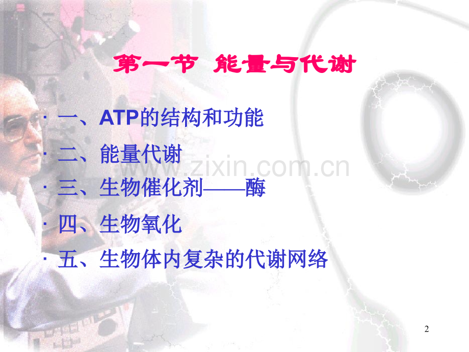 生命活动的能量获取与转换.pptx_第2页