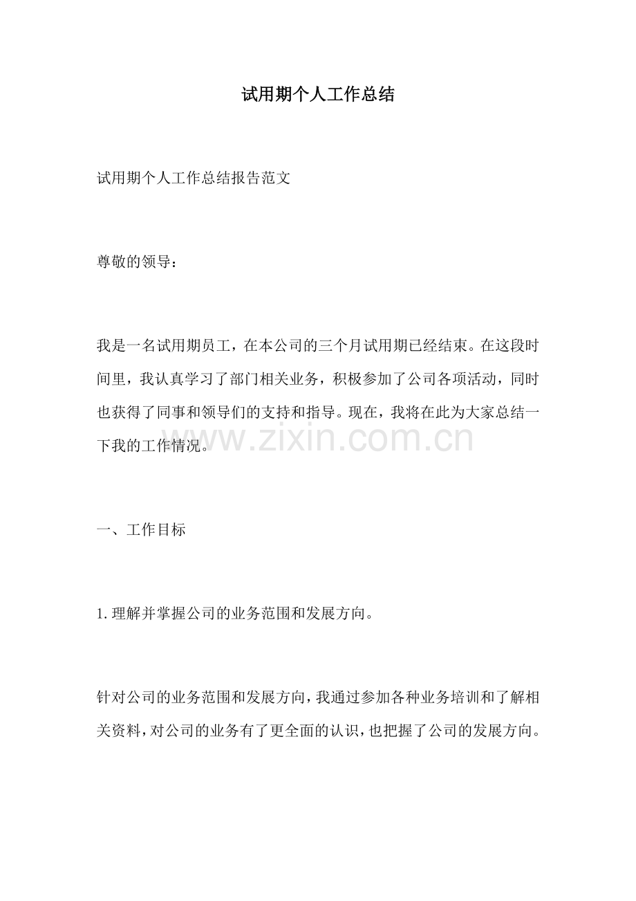 试用期个人工作总结.docx_第1页