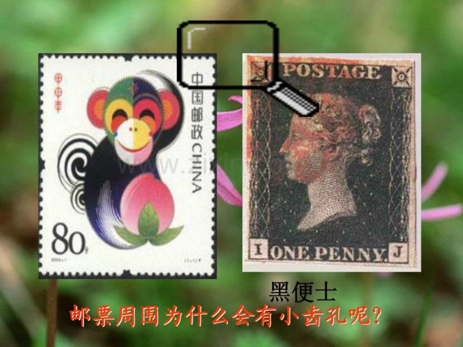 人教版二年级下册语文邮票齿孔的故事.pptx_第2页