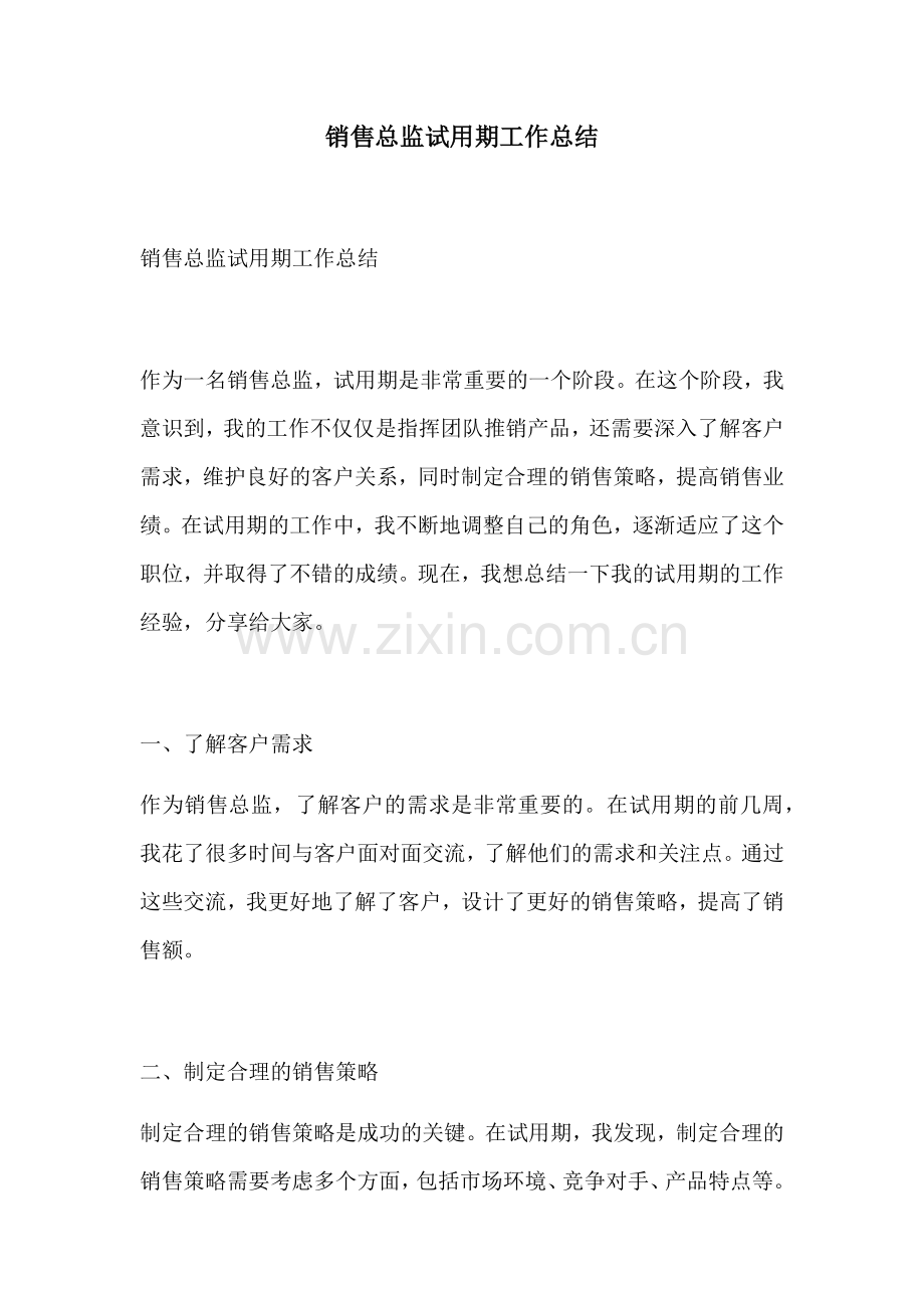 销售总监试用期工作总结.docx_第1页