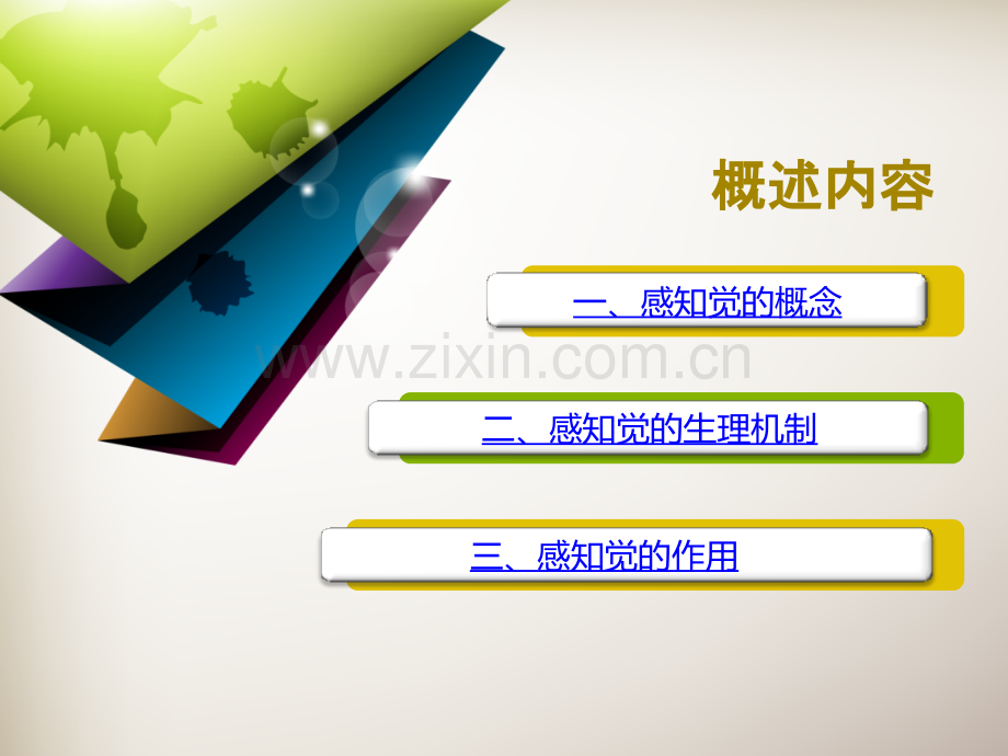 感知觉概述.pptx_第1页