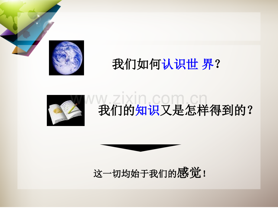 感知觉概述.pptx_第2页
