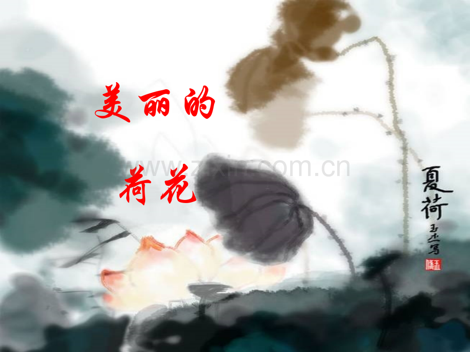 夏花-有关荷花的知识.ppt_第2页