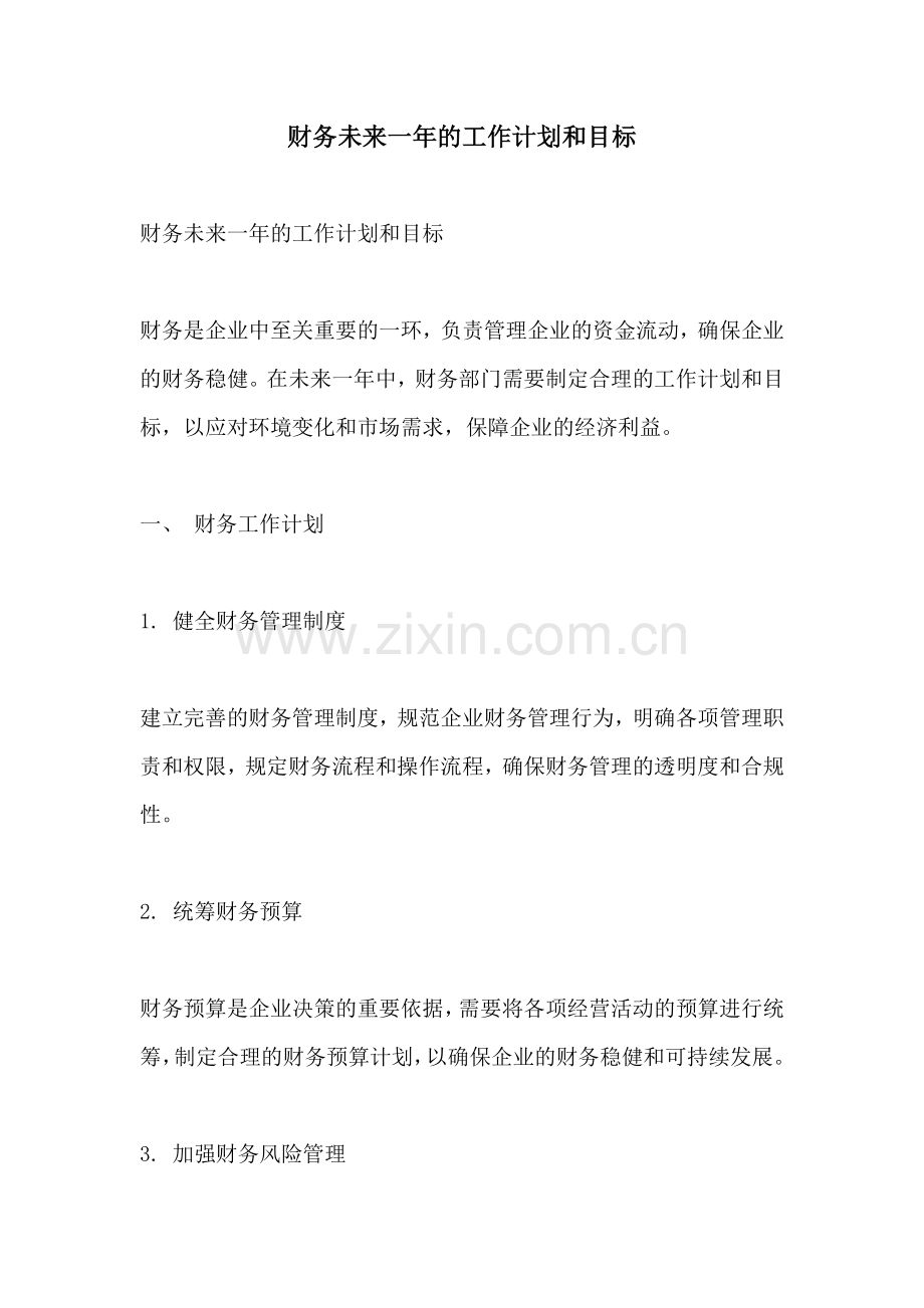 财务未来一年的工作计划和目标.docx_第1页