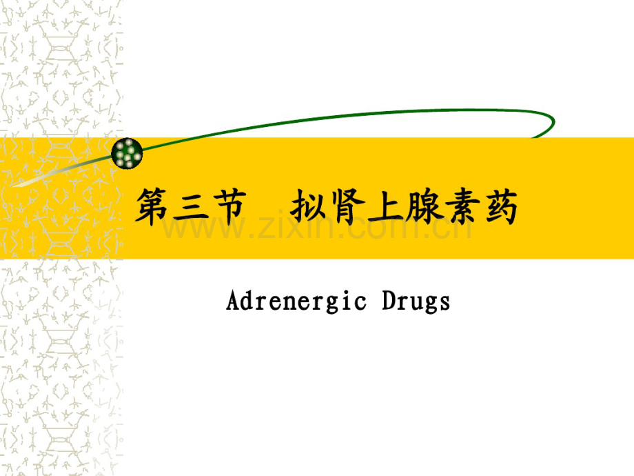 g03-3第三节拟肾上腺素药.pdf_第1页