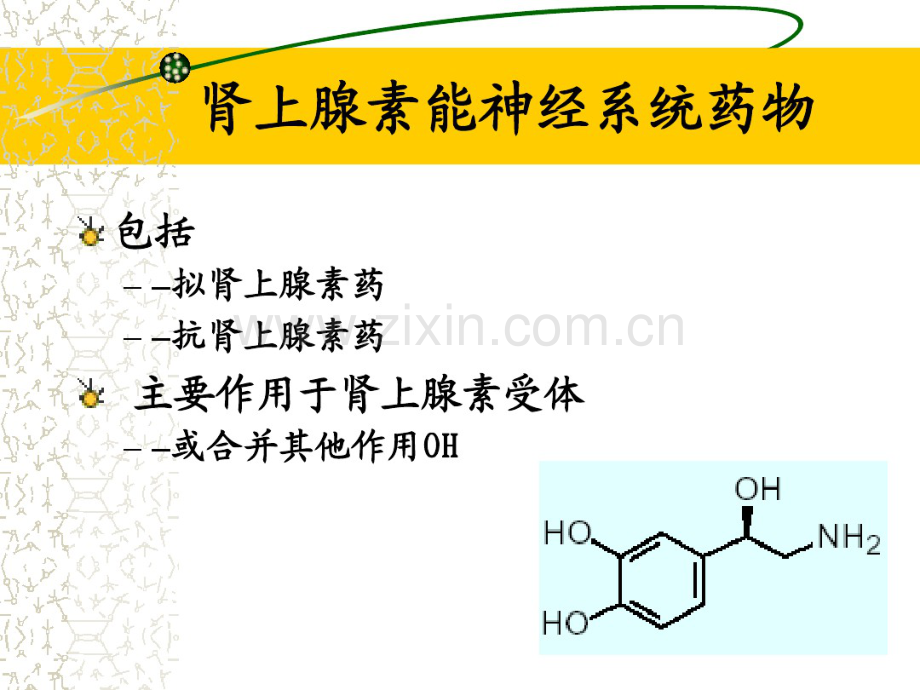 g03-3第三节拟肾上腺素药.pdf_第2页