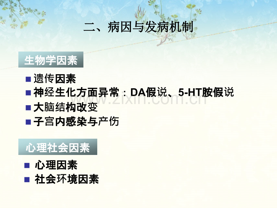 第八章-精神障碍病人的护理-疾病篇.ppt_第2页