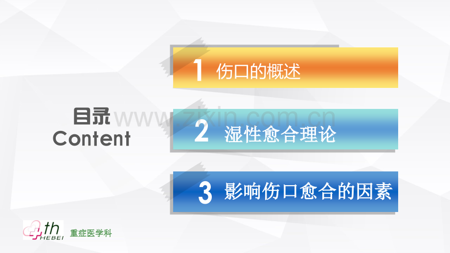 伤口愈合理论.ppt_第2页