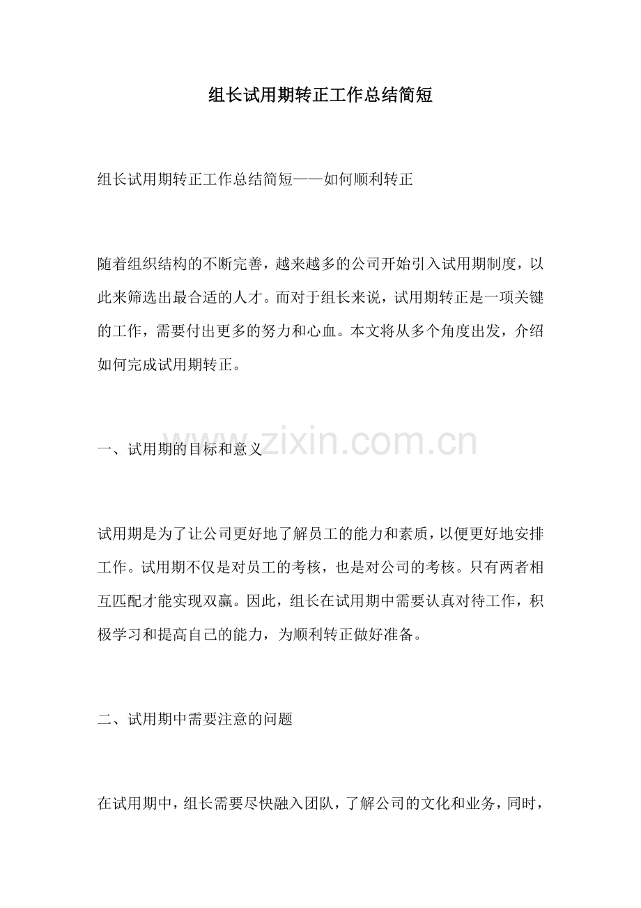 组长试用期转正工作总结简短.docx_第1页