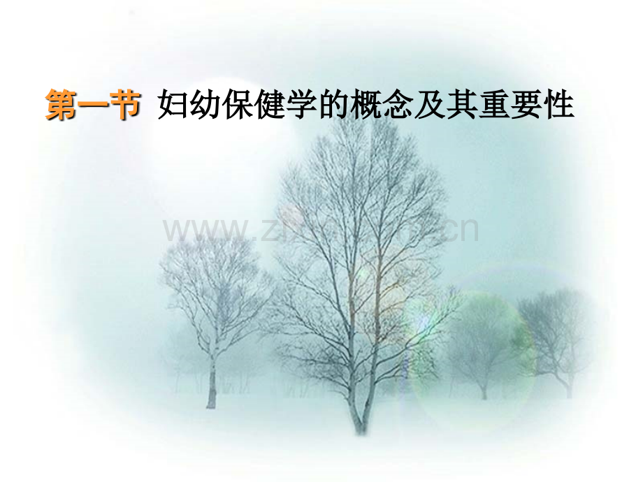妇女儿童健康状况及其妇幼工作面临的挑战-新疆医科大学.ppt_第2页