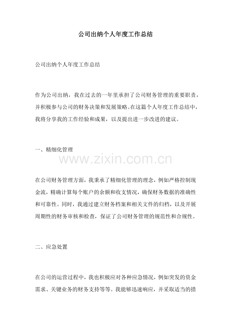 公司出纳个人年度工作总结.docx_第1页