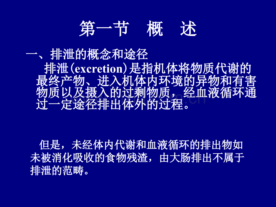 肾脏的排泄功能.pptx_第2页