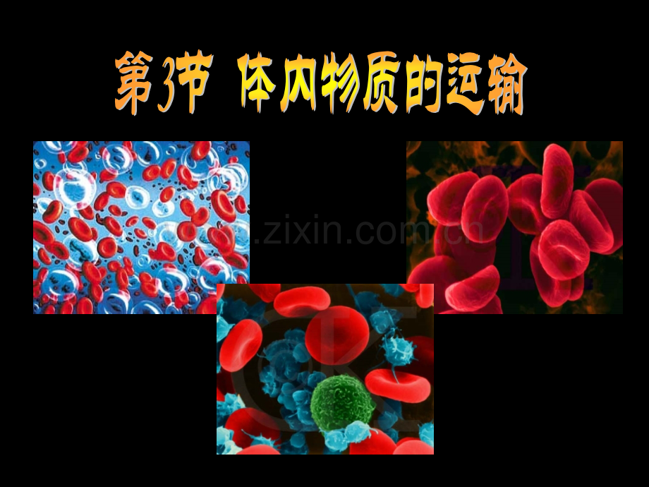 543体内物质的运输.pptx_第1页