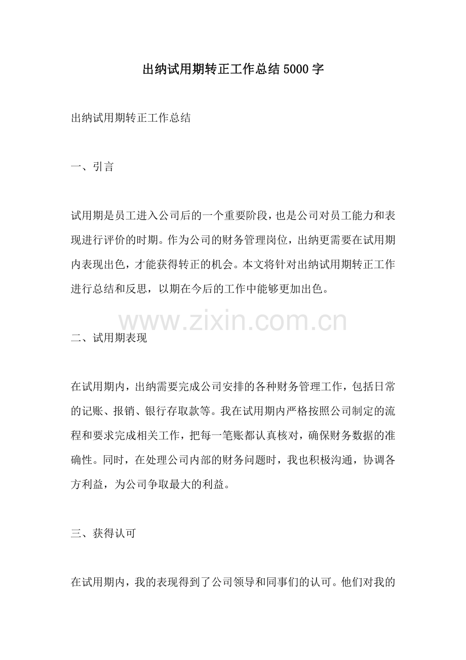 出纳试用期转正工作总结5000字.pdf_第1页