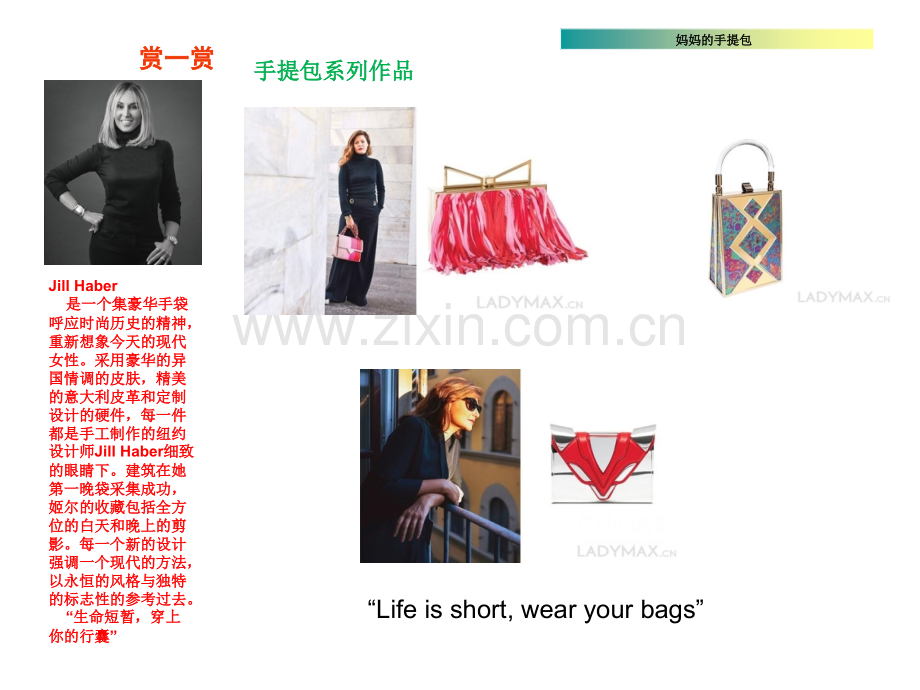 34妈妈的手提包.pptx_第2页