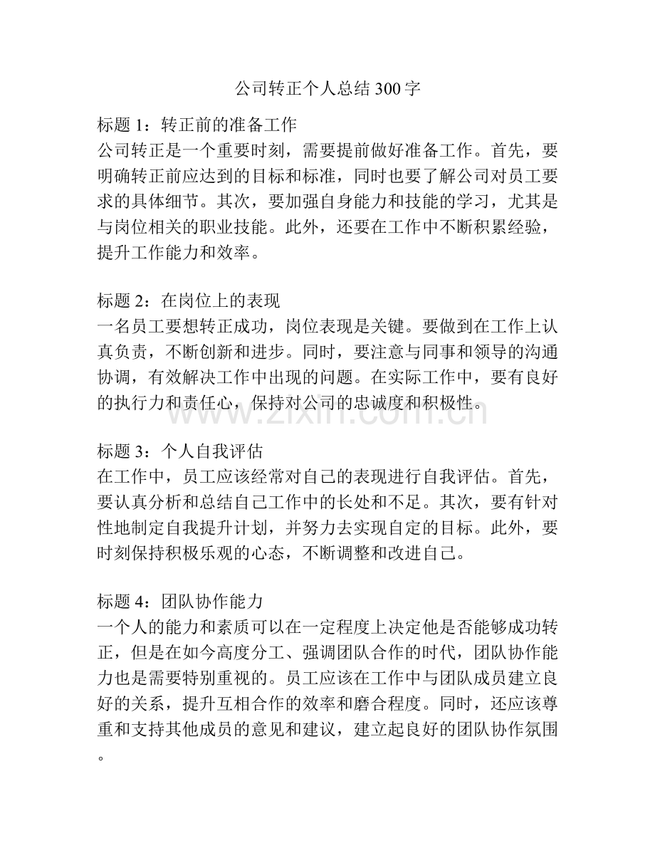 公司转正个人总结300字.docx_第1页