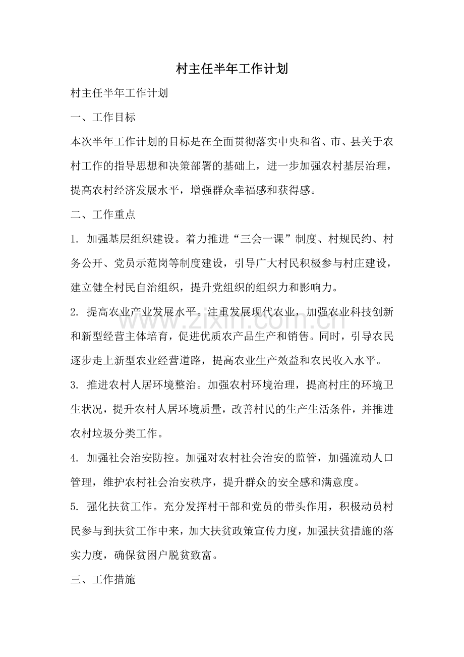 村主任半年工作计划.pdf_第1页